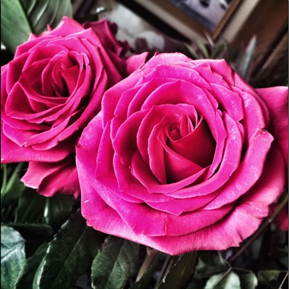 Meet your Posher, Teangela - Picture 1 of 1